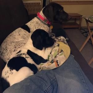 Meet your Posher, Tiffany